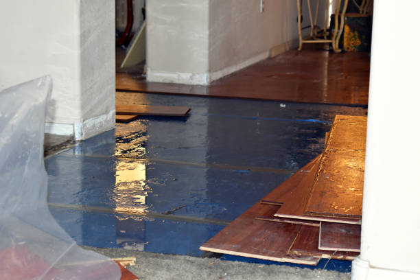 Professional Sewage Cleanup technician working in Eva, AL